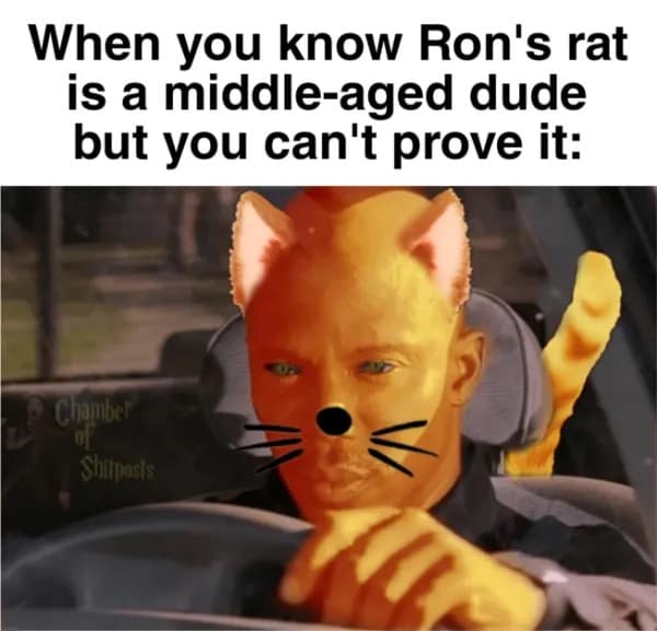 Serious driver with cat ears, whiskers, and tail added; caption about knowing Ron’s rat is really a man
