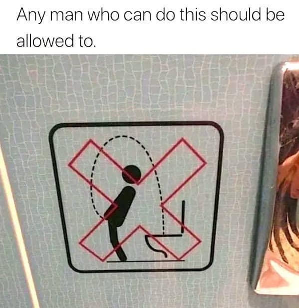 A meme dump photo of a bathroom sign showing a person doing a backflip into a toilet.