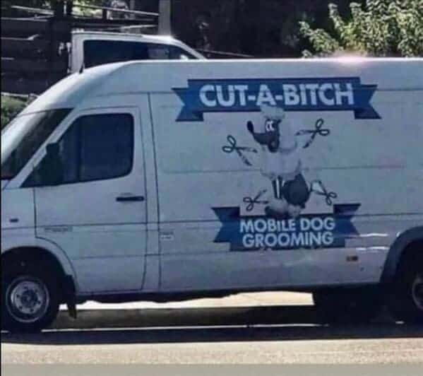 A meme dump photo of a mobile dog grooming van with a very unfortunate business name.