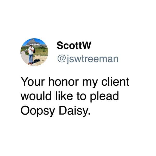 A meme dump tweet where a lawyer has their client "plead Oopsy Daisy" in court.