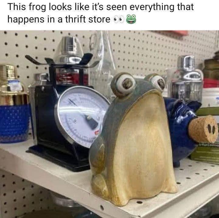 A funny meme of a ceramic frog in a thrift store that looks like it has seen a thousand horrors.