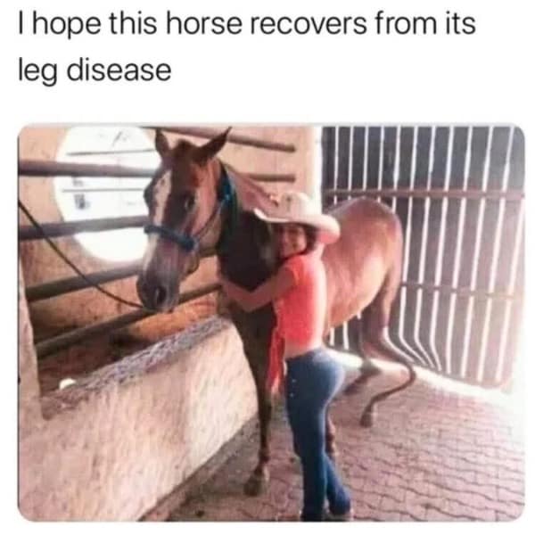 An optical illusion meme dump photo where a girl's body makes a horse's leg look strange