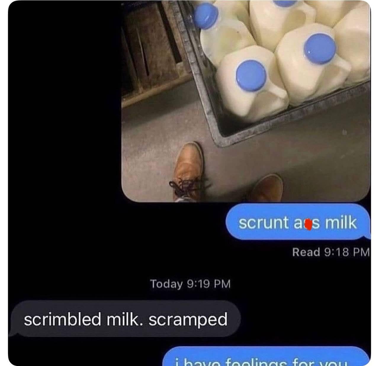 A meme dump text message conversation with a funny typo about "scrambled milk."