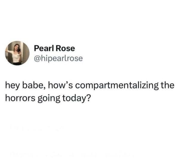 A hilarious meme from a tweet that asks, "hey babe, how's compartmentalizing the horrors going today?"