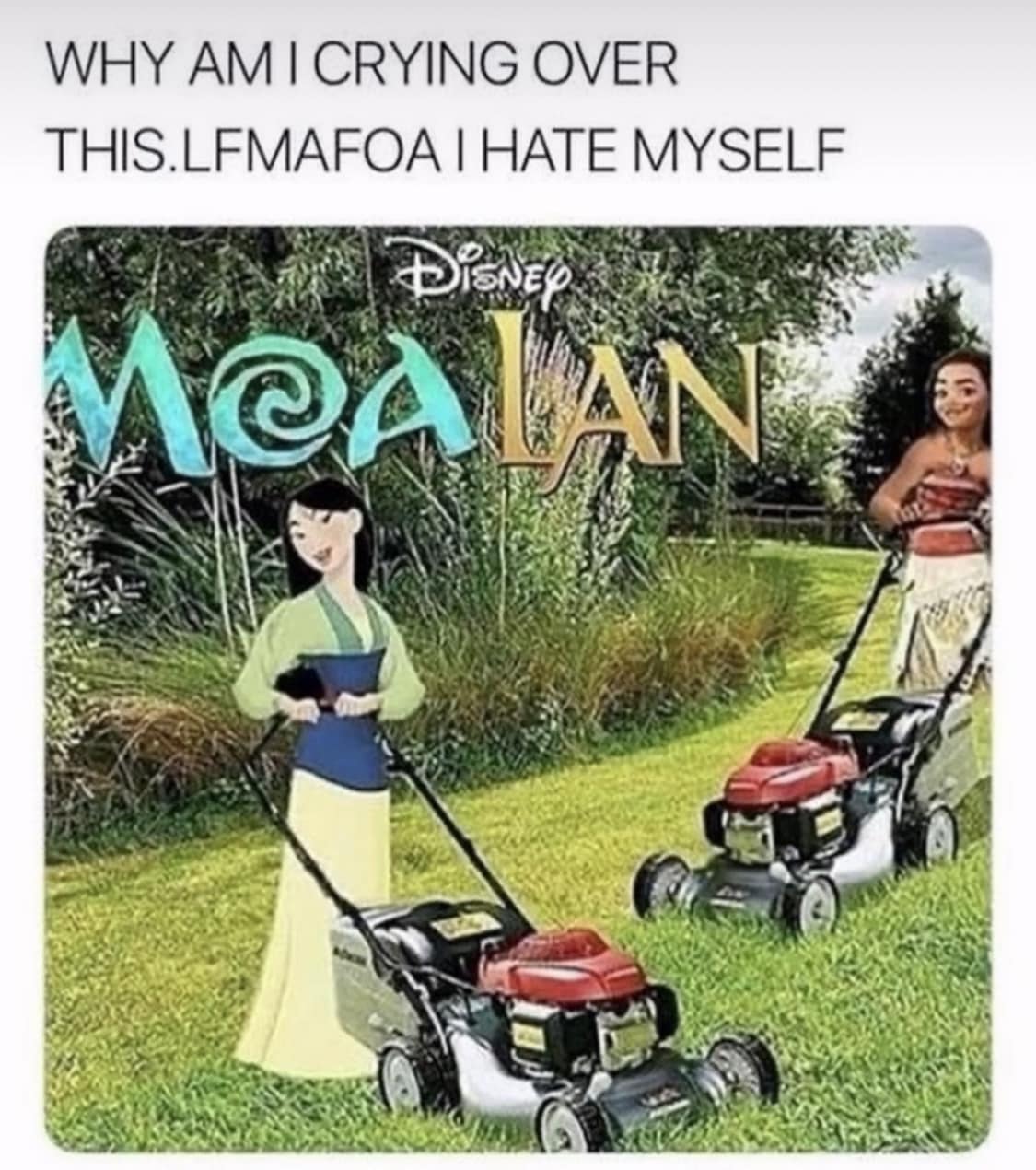 A funny meme pun showing Disney princesses Moana and Mulan mowing a lawn, with the title "MOALAN."