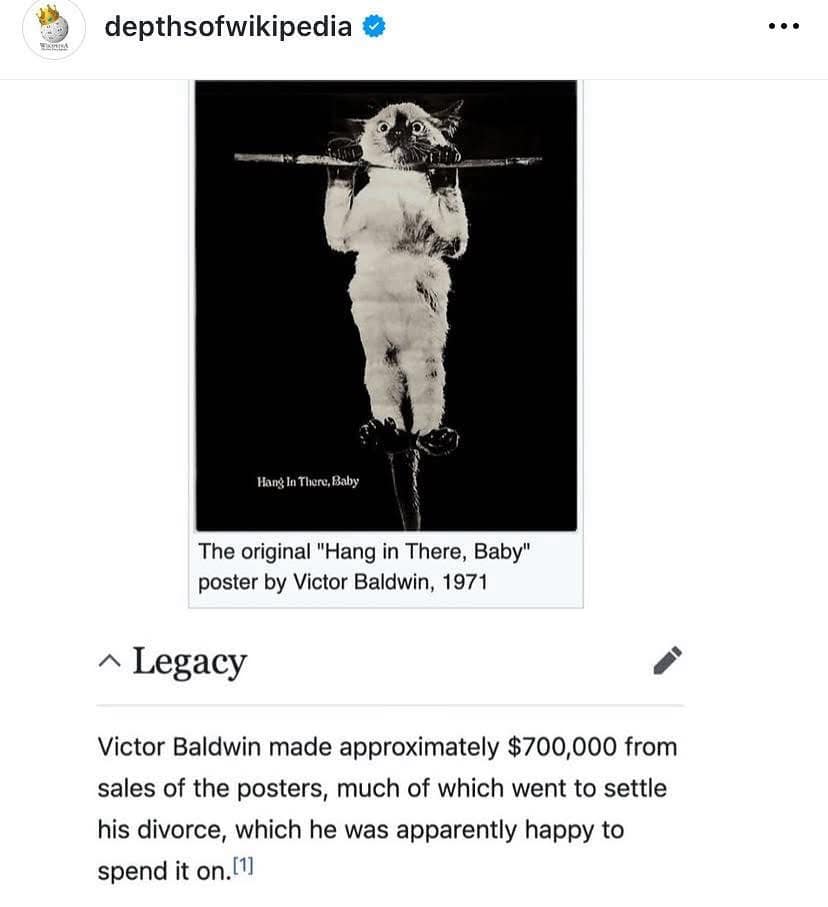 Screenshot of a black-and-white “Hang in There, Baby” poster showing a kitten gripping a bar, alongside text about the poster’s 1971 origin and earnings.