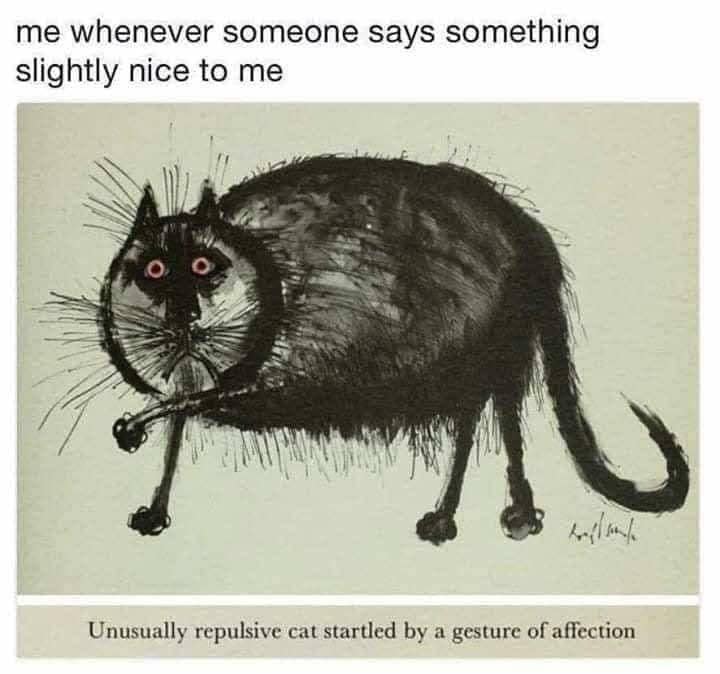 A hilarious meme using a drawing of an "unusually repulsive cat" to describe the feeling of receiving a compliment.