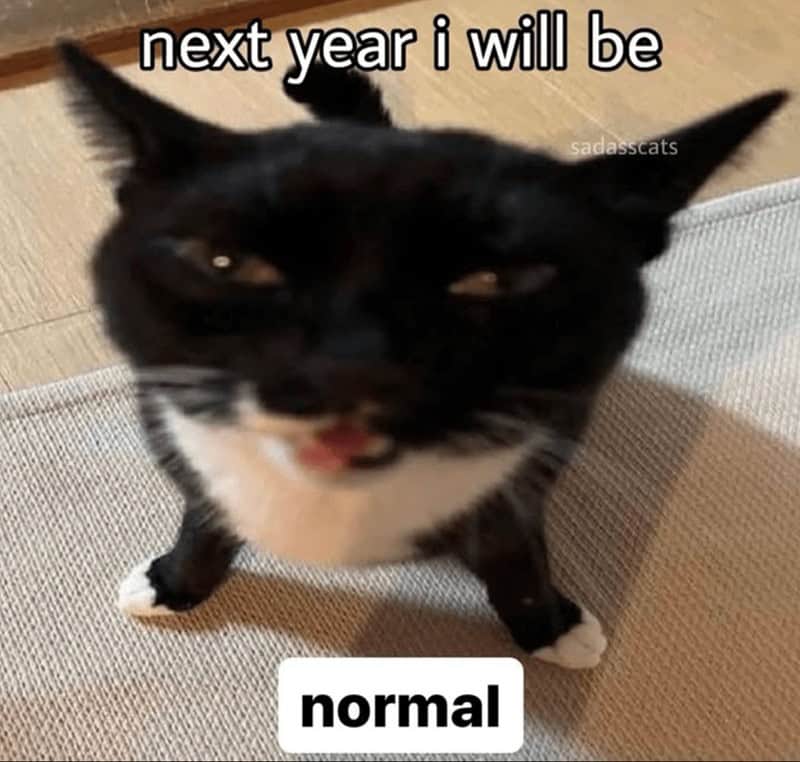 Close-up of a goofy black-and-white cat with text: “next year i will be normal.”