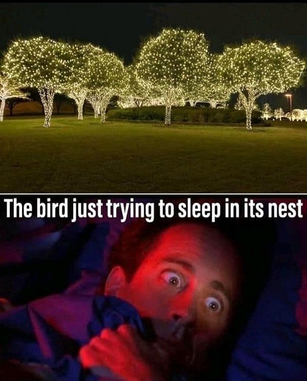 A funny meme featuring the comedian Jerry Seinfeld that jokes about a poor bird being kept awake all night long by the bright and festive Christmas lights on its tree.