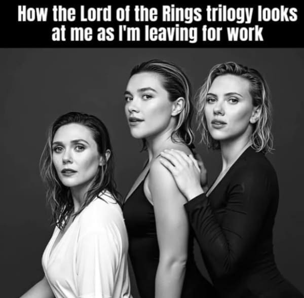 A nerd meme with actresses representing the Lord of the Rings trilogy tempting you to stay home.