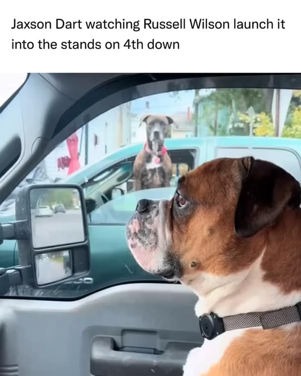 A funny dog meme reacting to Pittsburgh Steelers quarterback Russell Wilson making a terrible play on fourth down.