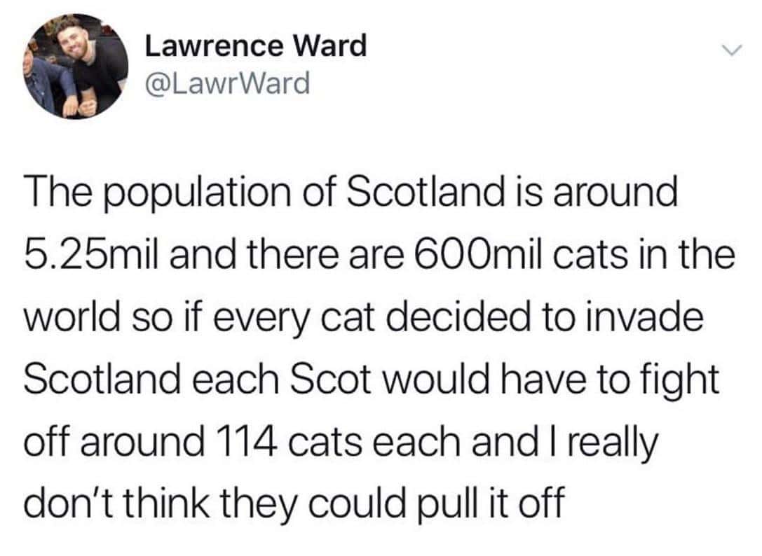 A funny tweet calculating that every person in Scotland would have to fight off 114 cats in a cat invasion.