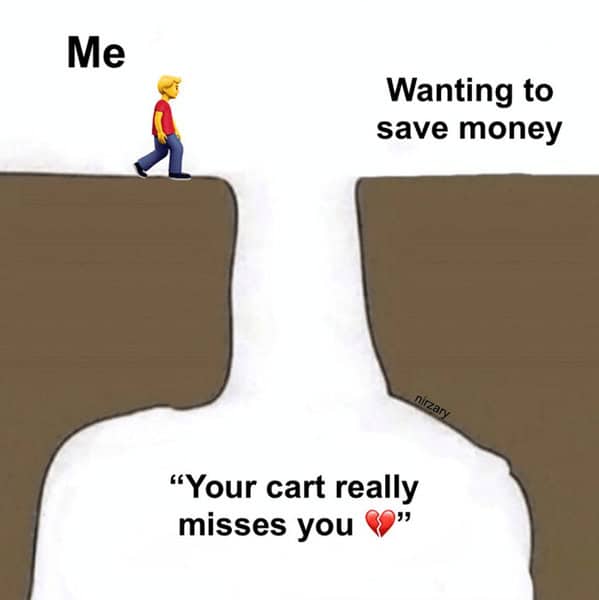 Cartoon person facing a wide canyon labeled “Me” vs “Wanting to save money,” with “Your cart really misses you” below.