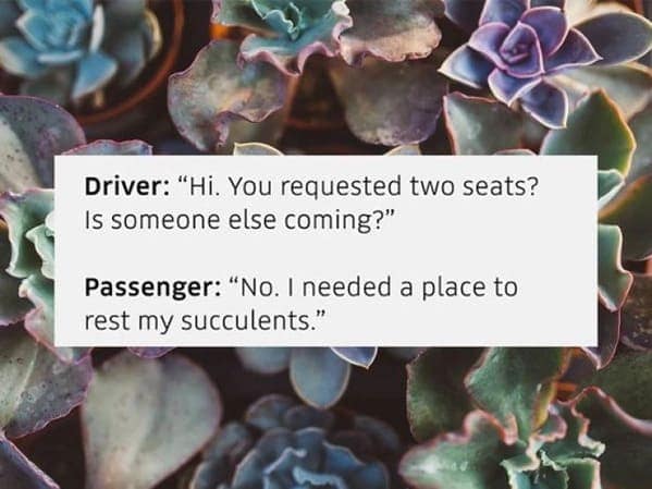 A funny quote overheard in an Uber from a passenger who bought a second seat just for their succulents.