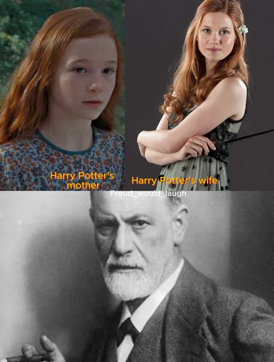 A funny Sigmund Freud meme that points out the strong physical resemblance between Harry Potter's mother, Lily, and his wife, Ginny.