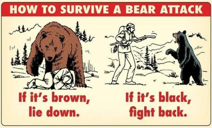 An important and practical chart showing how to survive an attack from a brown bear versus a black bear.