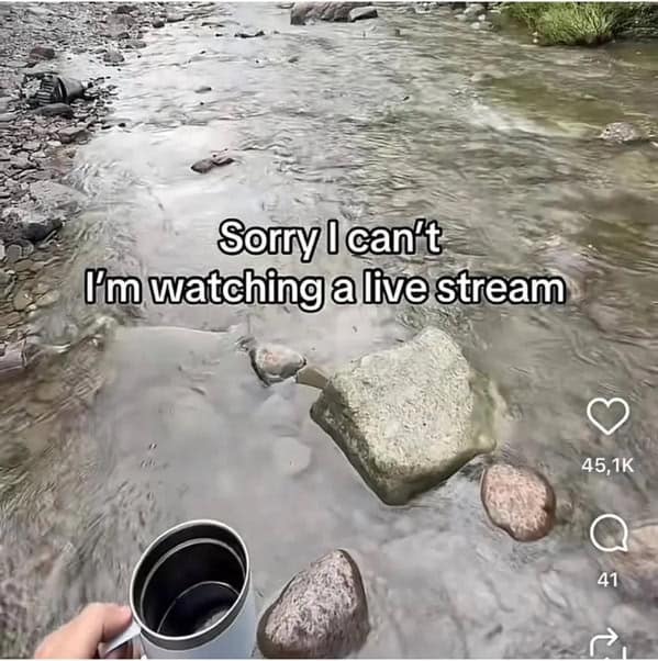 creek with someone holding a travel mug; overlaid text: “Sorry I can’t I’m watching a live stream.”