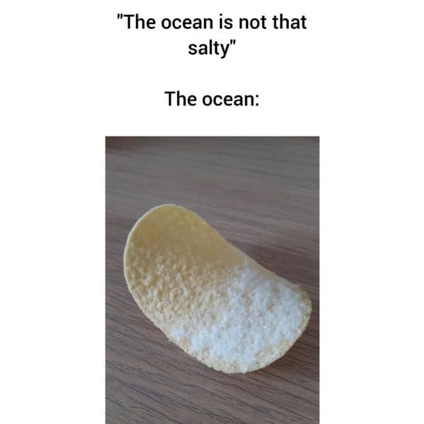 A salt meme using a Pringles chip covered in salt to represent how salty the ocean is.