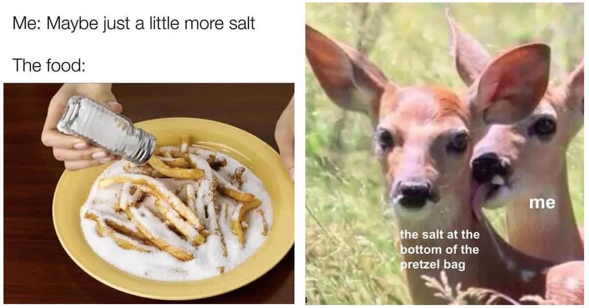 A collage of funny salt memes about the humor of cooking, chemistry, and our love for all things salty.