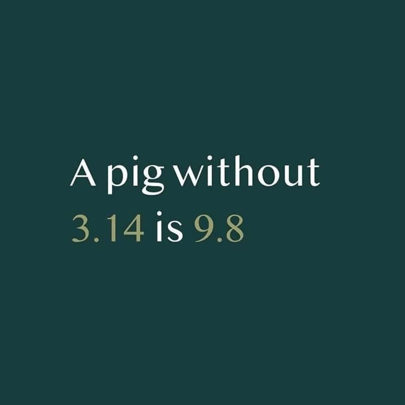 A very clever and nerdy math and physics pun that states, "A pig without 3.14 is 9.8."