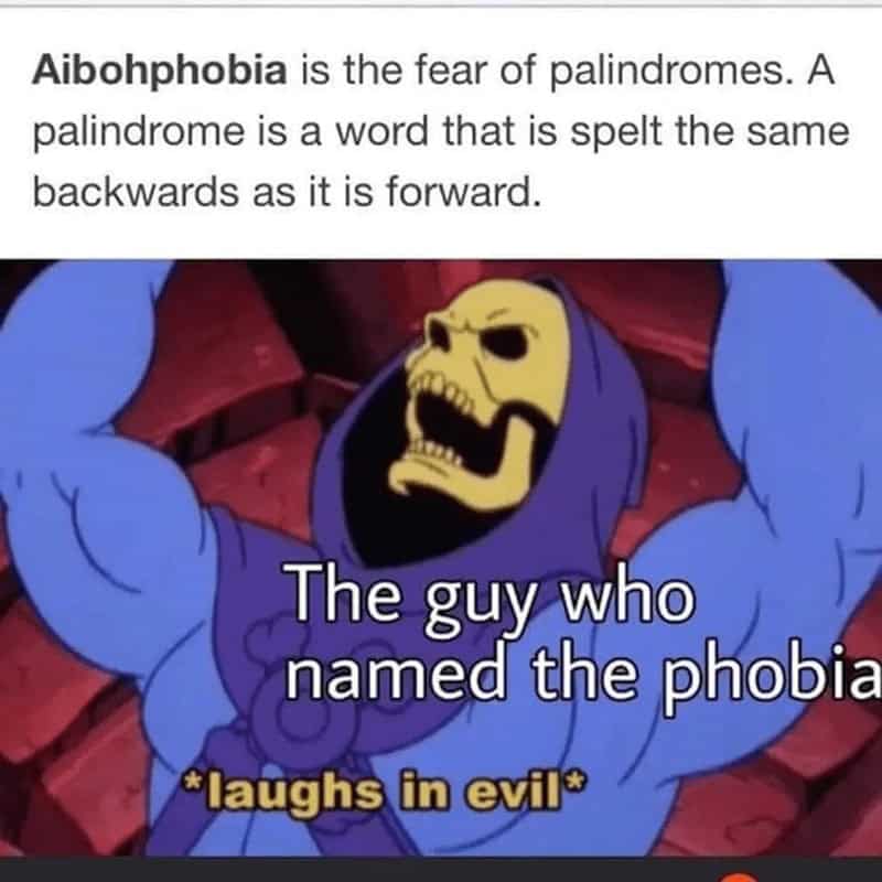 A smart meme with Skeletor laughing about how the word for the fear of palindromes is itself a palindrome.