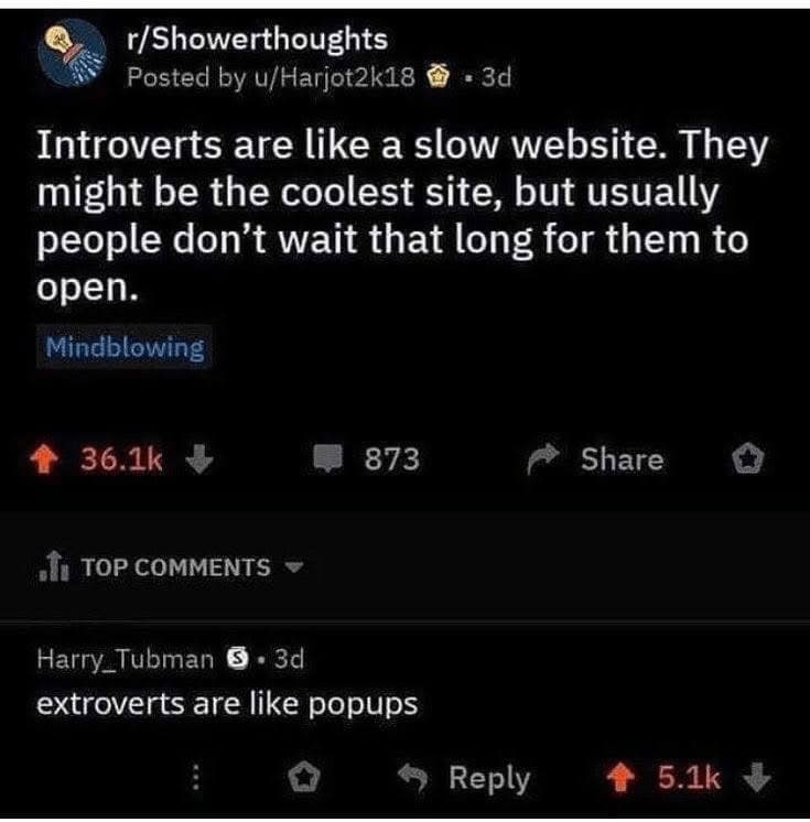 A smart meme comparing introverts to interesting but slow-loading websites and extroverts to annoying pop-up ads.