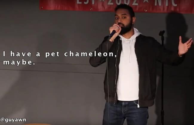 A short and clever one-liner from comedian @guyawn, who says, "I have a pet chameleon, maybe," playing on the animal's camouflage.