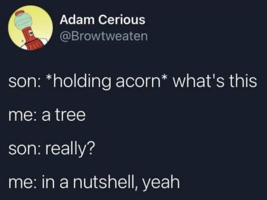 A technically correct meme tweet of a dad telling his son an acorn is a tree "in a nutshell."