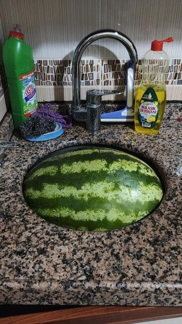 An oddly satisfying picture of a large, oblong watermelon that fits perfectly inside a round kitchen sink.