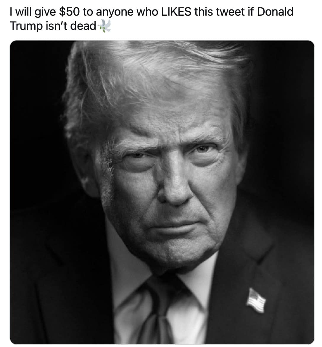 Black-and-white portrait of a stern Donald Trump with text offering $50 if he isn’t dead.