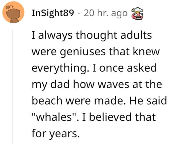 A funny childhood lie where a dad told his kid that the big ocean waves are made by whales.