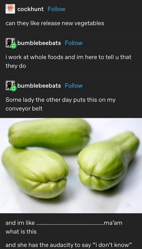 A funny Tumblr thread where a Whole Foods employee encounters a strange and exotic vegetable (chayote squash) that a customer can't even identify.