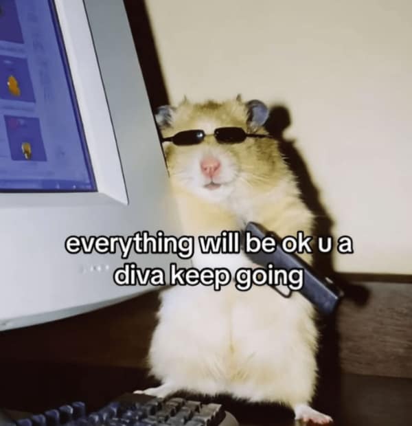 A wholesome meme tweet about wanting to feel as peaceful as a dog sunbathing.