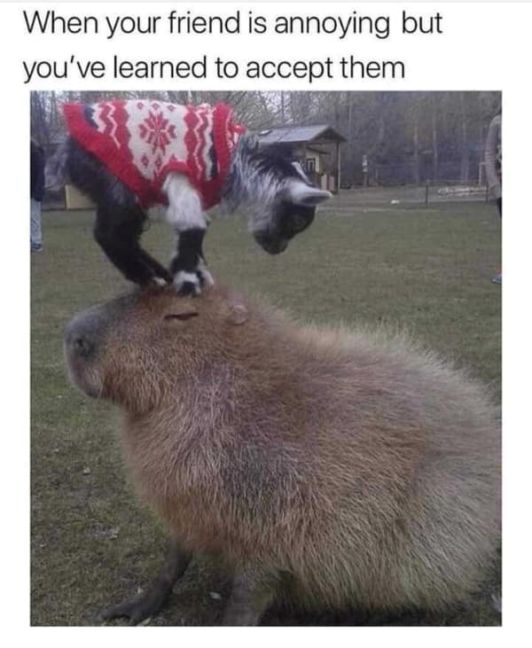 A wholesome meme of a hamster with sunglasses and a gun, telling you to keep going.