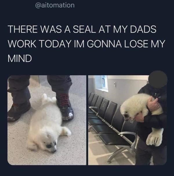 A wholesome meme of a man looking confident and prepared before giving a big presentation.