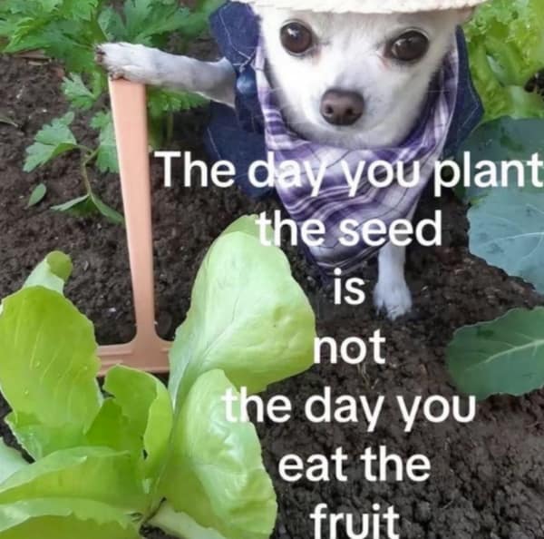 A wholesome meme with an uplifting quote about being proud of someone for just holding it together.