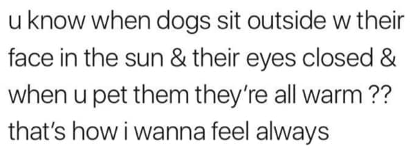 A wholesome meme of a pig relaxing on a couch, representing a guilt-free day off.