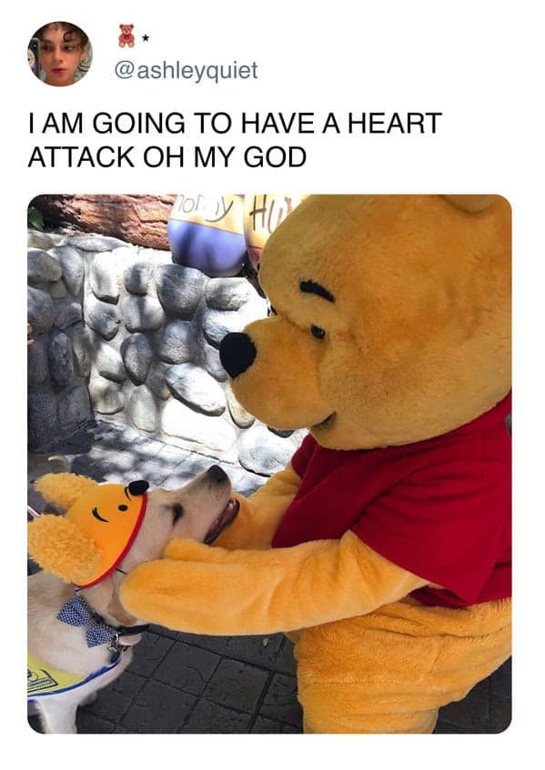 An incredibly cute photo of a Winnie the Pooh costumed character hugging a service dog wearing a Pooh hat.