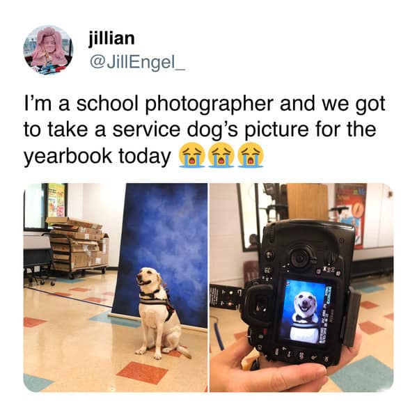 A school photographer shares adorable photos of a happy service dog getting its official yearbook picture taken.