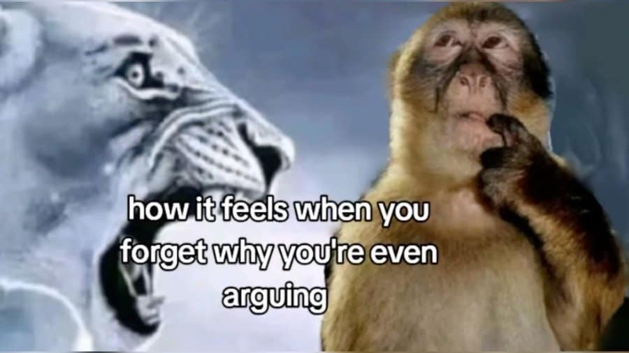 A funny meme showing the universal feeling of suddenly forgetting what you're even arguing with someone about in the first place.