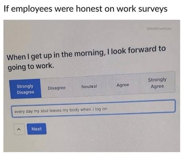 A work meme showing an honest answer on a work survey: "every day my soul leaves my body when I log on."