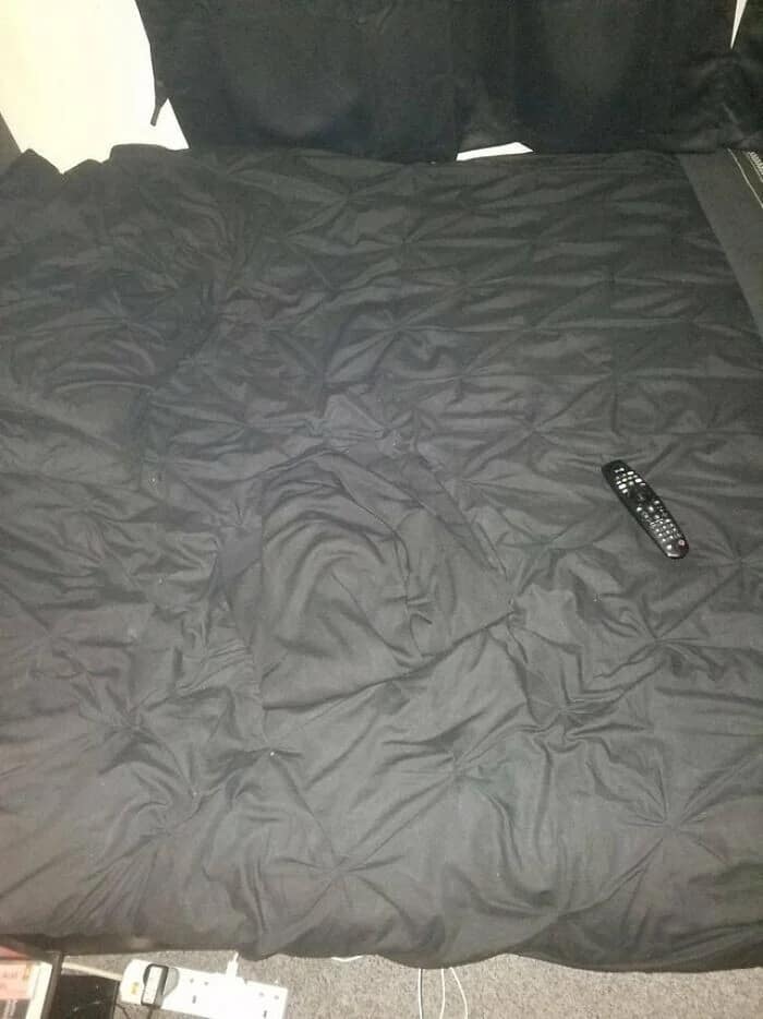 Find the hidden pet in this glitch in the matrix photo showing a black cat camouflaged on black bedding