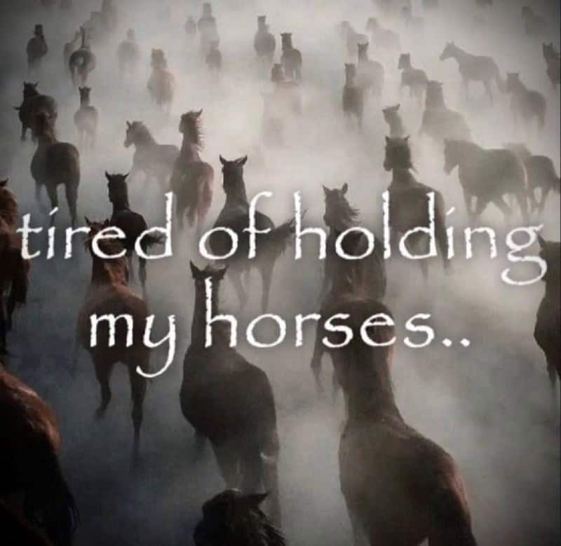 A stampede of horses with the caption "tired of holding my horses," a very literal and absurd meme.