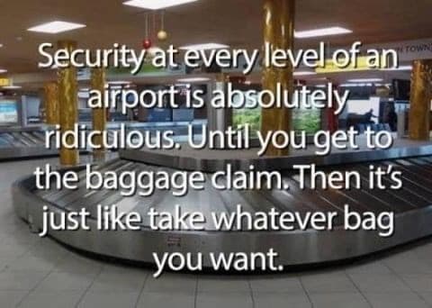 Two goldfish swimming in an orange slice, a surreal and romantic example of absurd memes.