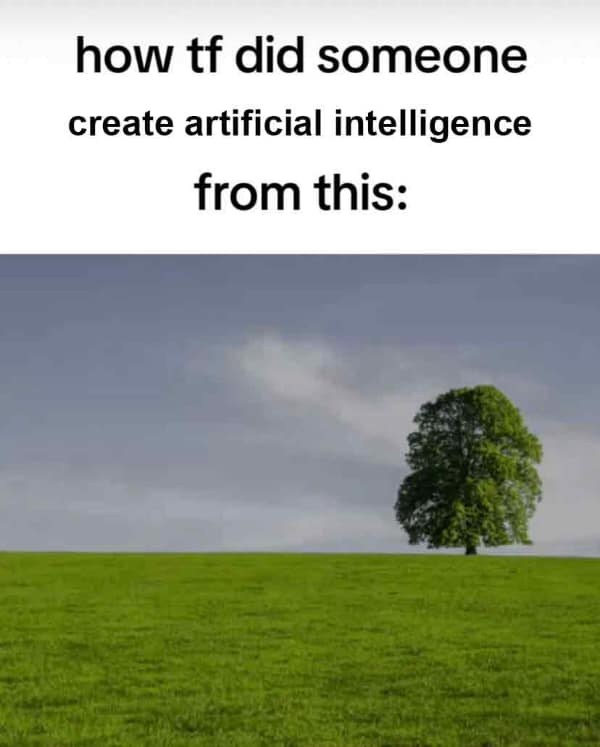 A funny and existential meme that questions how we ended up with artificial intelligence from a simple nature scene.