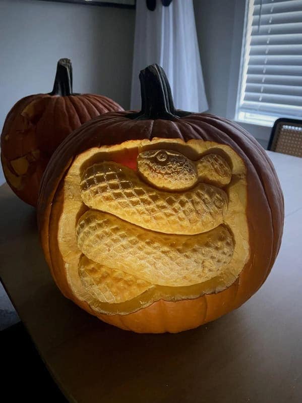 A scary amazing pumpkin carving featuring a realistic, three-dimensional snake coiled inside the pumpkin