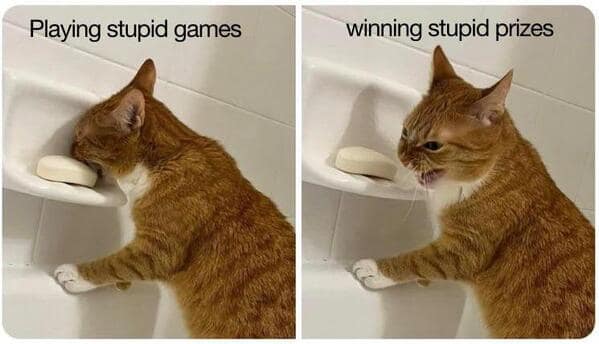A funny animal meme showing a cat licking soap and then recoiling, with the caption "Playing stupid games, winning stupid prizes."