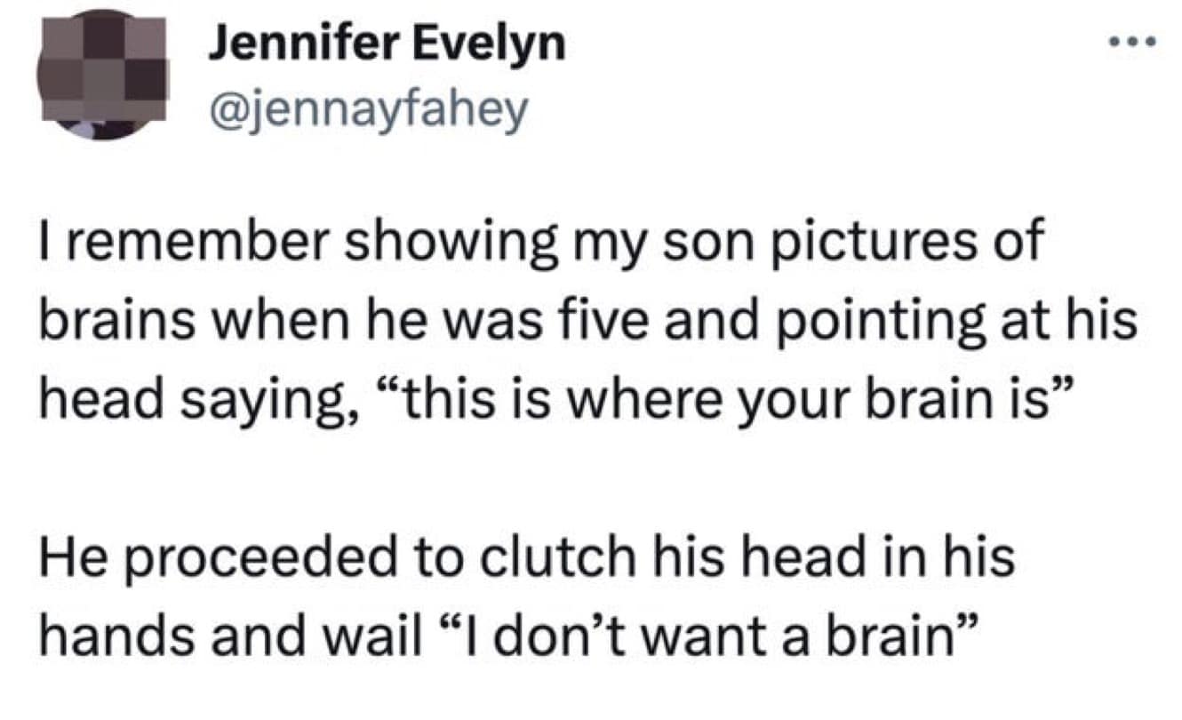 A tweet from a parent whose five-year-old son had a full-blown meltdown about having a brain.