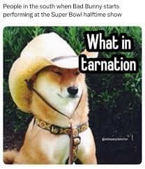 A bad bunny halftime show meme using the "What in tarnation" dog to represent how people in the south might react.