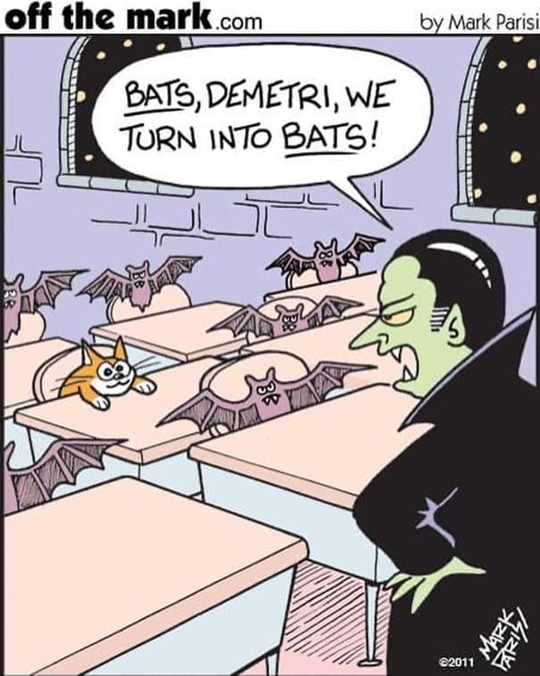 A funny bat meme comic showing a vampire teacher angry at a student who turned into a cat instead of a bat.